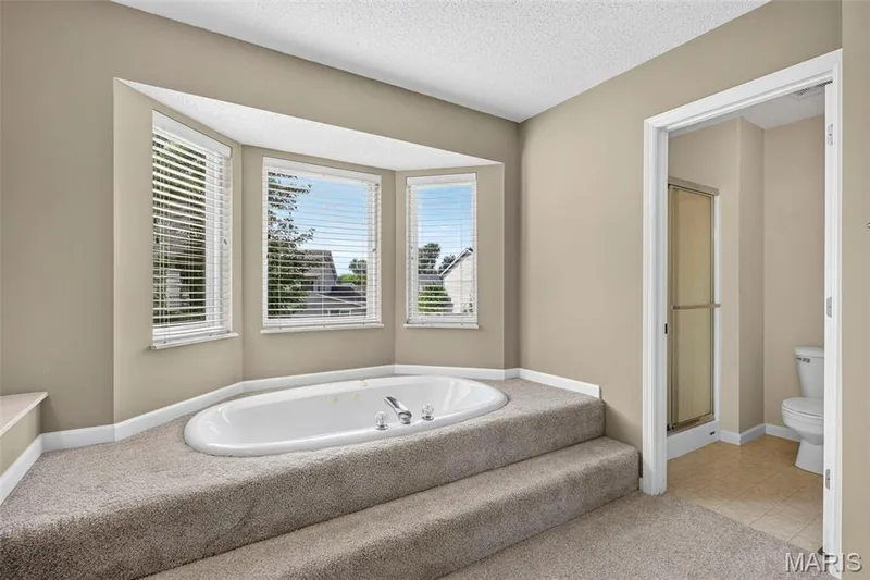 305 Highgrove Place Drive, O'Fallon, MO 63366 — listing photo 31 of 49