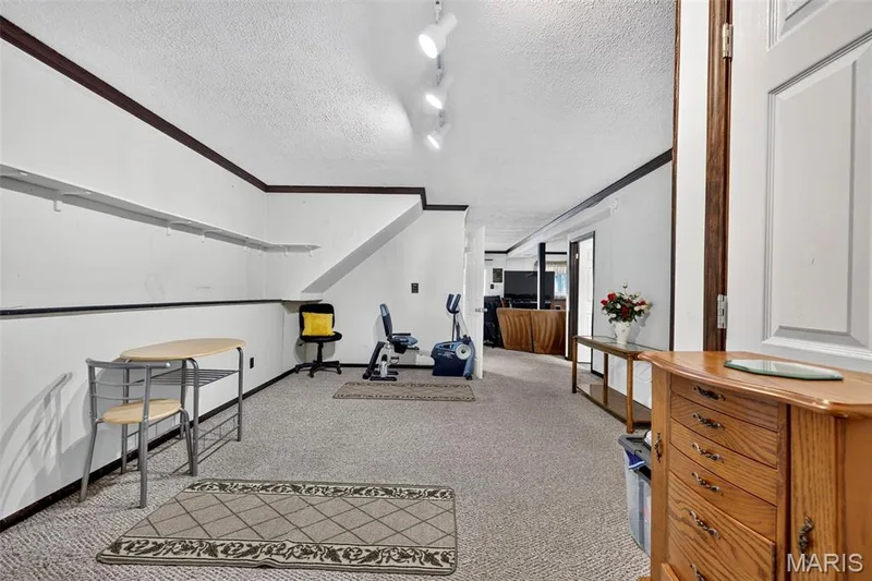 113 Barkwood Trails Drive, St Peters, MO 63376 — listing photo 21 of 35