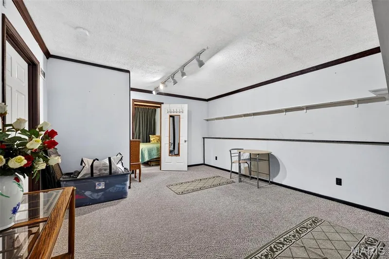 113 Barkwood Trails Drive, St Peters, MO 63376 — listing photo 22 of 35