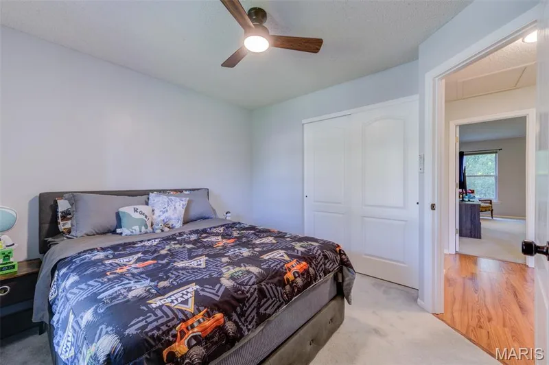 42 Arborshadow Court, St Peters, MO 63376 — listing photo 24 of 45