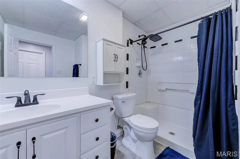 42 Arborshadow Court, St Peters, MO 63376 — listing photo 33 of 45