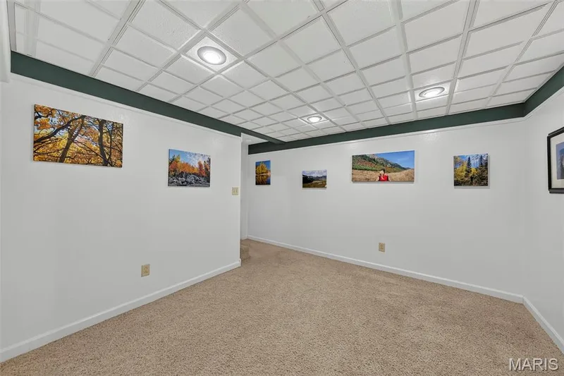 58 Gary Glen Drive, St Peters, MO 63376 — listing photo 35 of 55