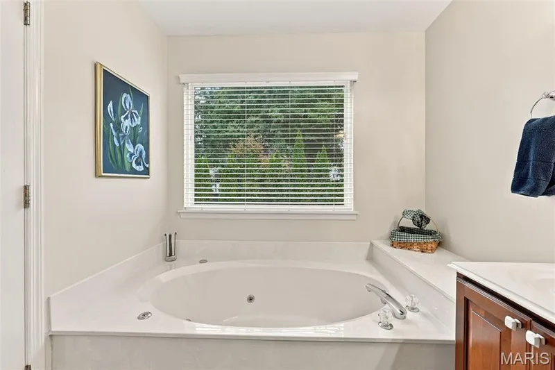 409 Mannington Drive, St Peters, MO 63376 — listing photo 28 of 51