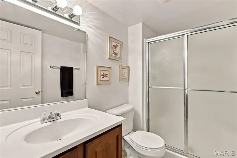 409 Mannington Drive, St Peters, MO 63376 — listing photo 39 of 51
