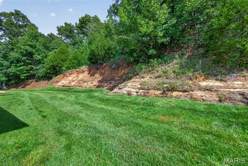 4513 Augusta Shores Court, Augusta, MO 63332 — listing photo 59 of 68