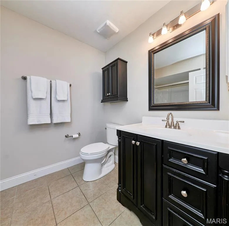 Primary ensuite — 16463 Cobbleskille Drive, Chesterfield, MO 63017