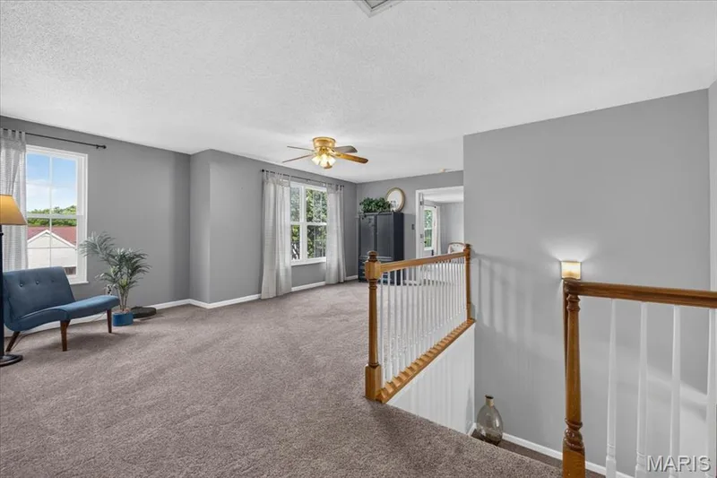 312 Quiet Country Drive, St Peters, MO 63376 — listing photo 21 of 62