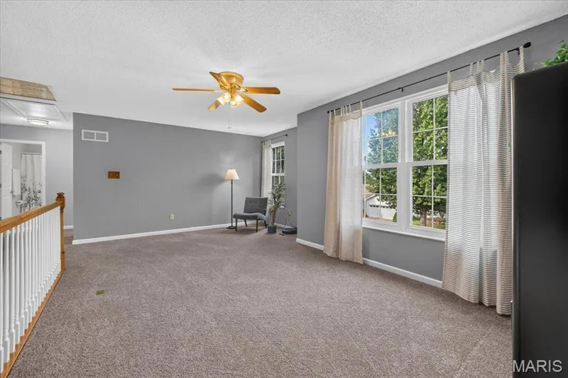 312 Quiet Country Drive, St Peters, MO 63376 — listing photo 23 of 62