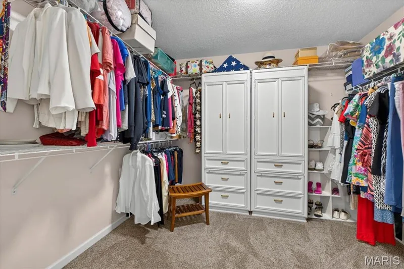 312 Quiet Country Drive, St Peters, MO 63376 — listing photo 29 of 62
