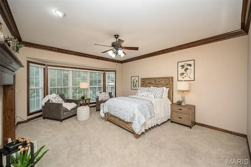 909 Oxford Trail Drive, St Peters, MO 63376 — listing photo 4 of 45