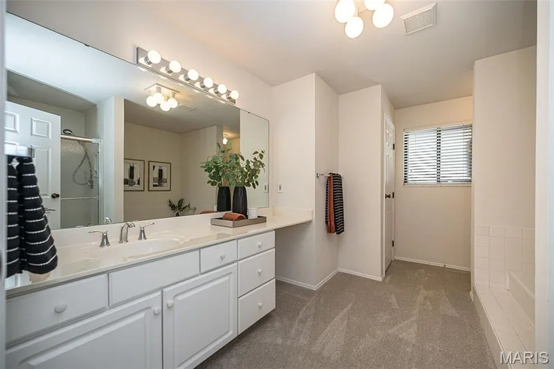1538 Woodroyal West Drive, Chesterfield, MO 63017 — listing photo 29 of 68