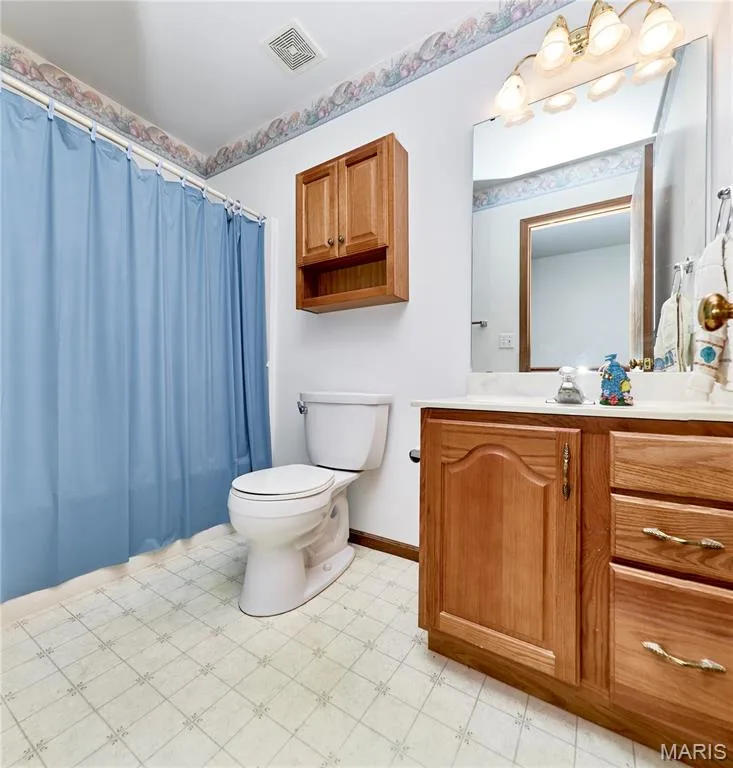 207 Sassafras Parc Drive, O'Fallon, MO 63368 — listing photo 49 of 71