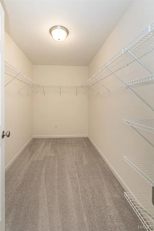 Primary Bedroom walk-in closet — 812 Colony Ridge Court, Foristell, MO 63348