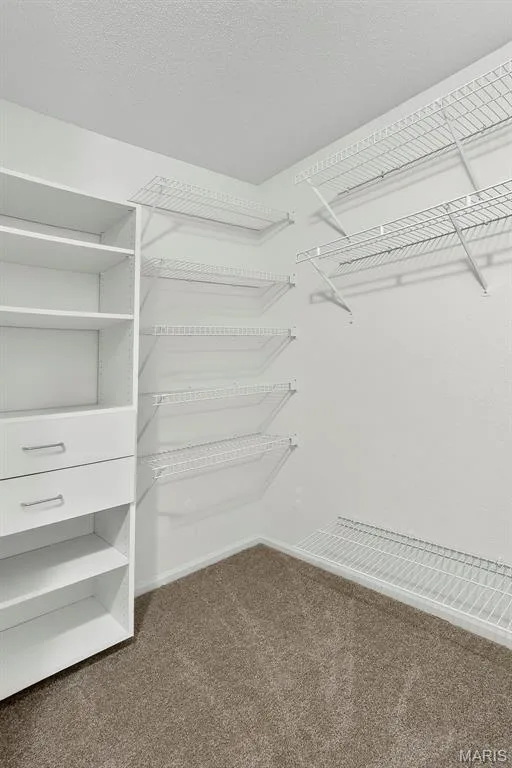 Walk in Closet — 36 Lienemann Court, St Peters, MO 63303