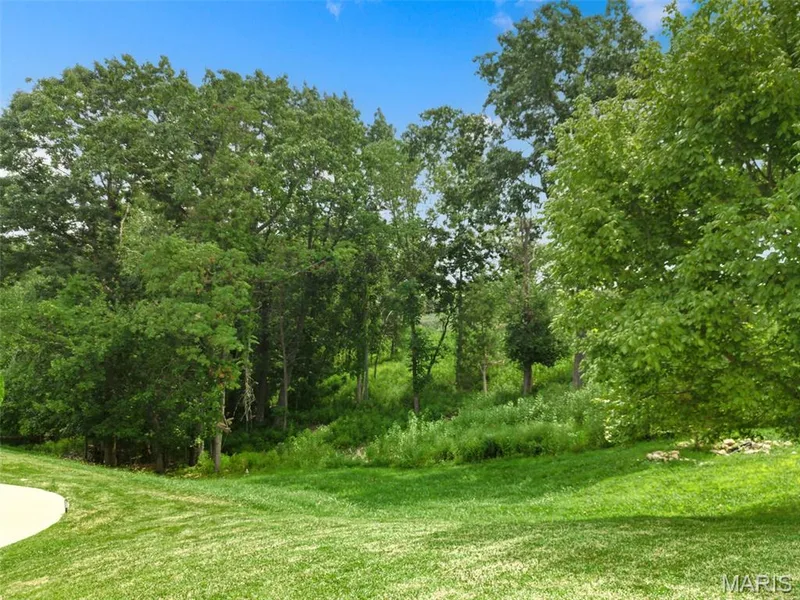 1316 Homestead Heights Drive, Wildwood, MO 63005 — listing photo 57 of 63