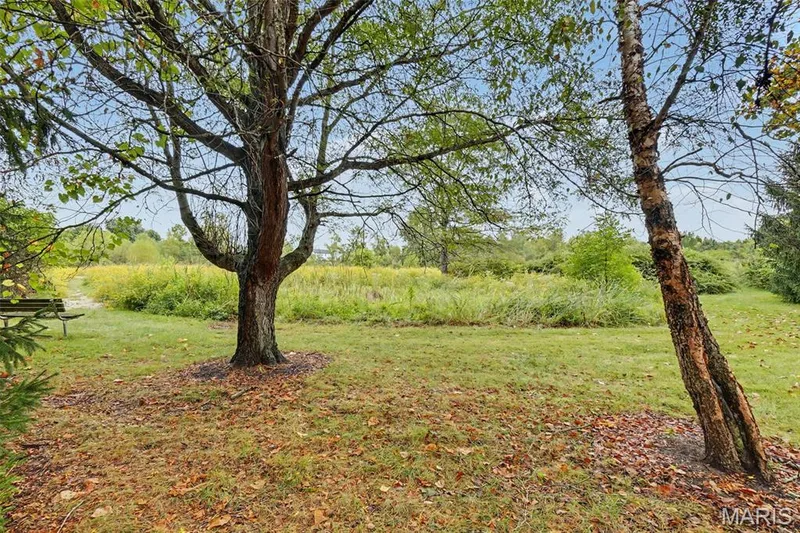 7523 Cinnamon Teal Drive, O'Fallon, MO 63368 — listing photo 37 of 42
