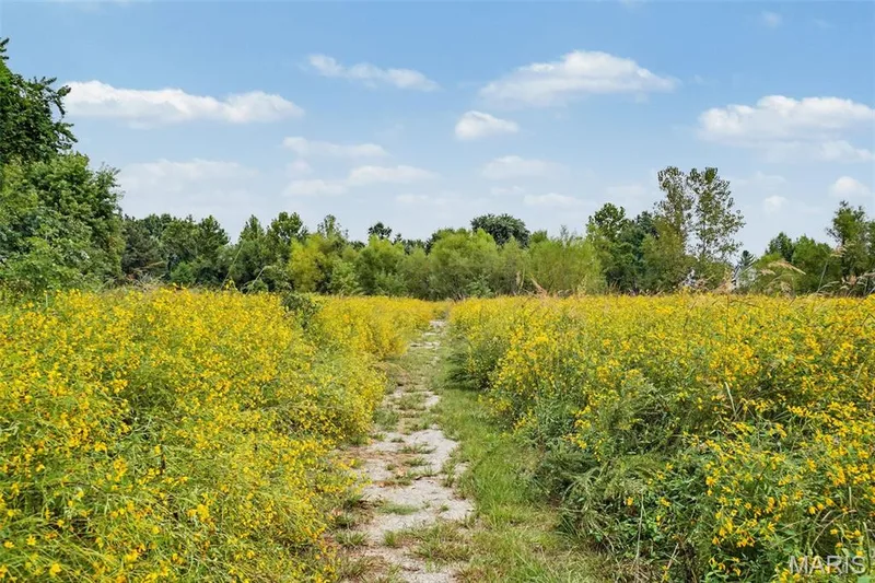 7523 Cinnamon Teal Drive, O'Fallon, MO 63368 — listing photo 39 of 42