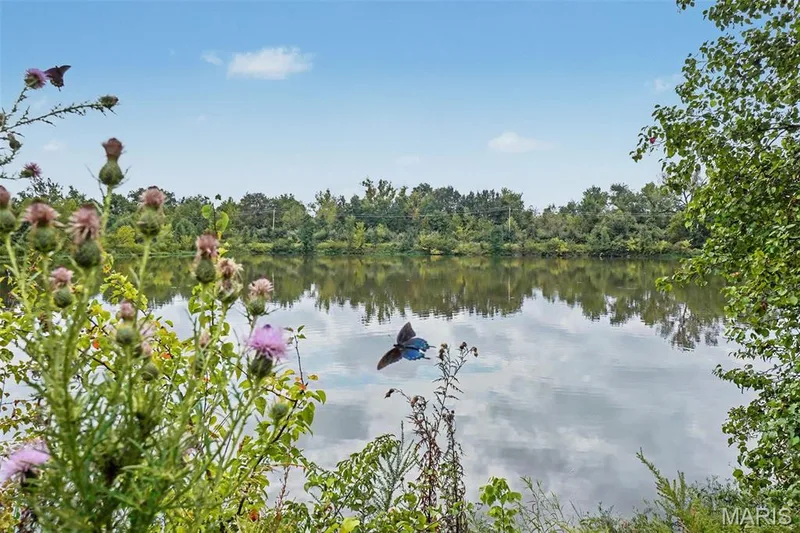7523 Cinnamon Teal Drive, O'Fallon, MO 63368 — listing photo 40 of 42