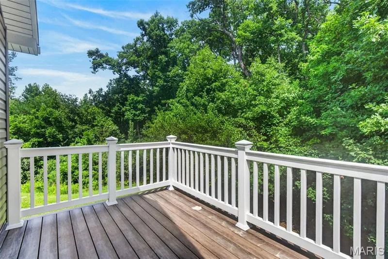 141 Katie Lynn Court, Wentzville, MO 63385 — listing photo 36 of 51