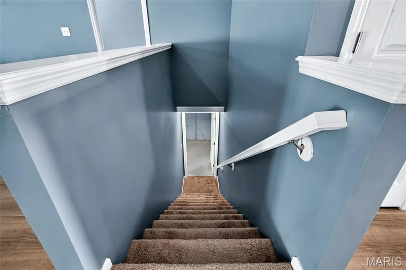 141 Katie Lynn Court, Wentzville, MO 63385 — listing photo 38 of 51