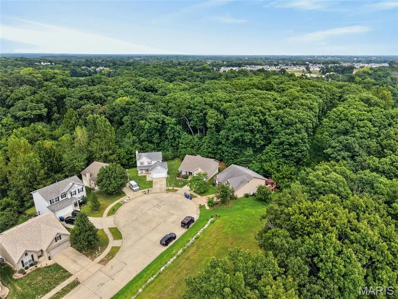 141 Katie Lynn Court, Wentzville, MO 63385 — listing photo 49 of 51