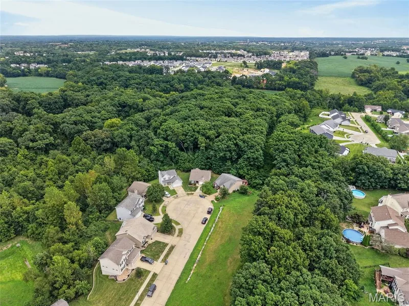 141 Katie Lynn Court, Wentzville, MO 63385 — listing photo 50 of 51