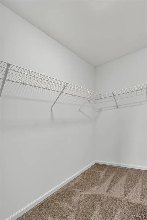 9031 Wilkie Station Street, St Charles, MO 63301 — listing photo 38 of 53