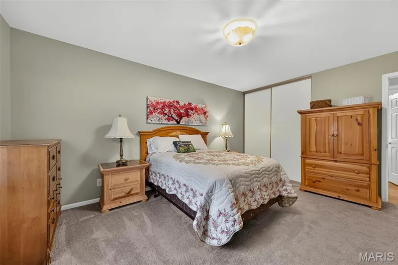 1103 Athena Way, St Peters, MO 63376 — listing photo 21 of 35