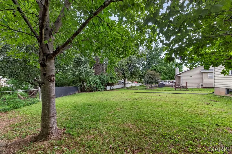 1103 Athena Way, St Peters, MO 63376 — listing photo 31 of 35