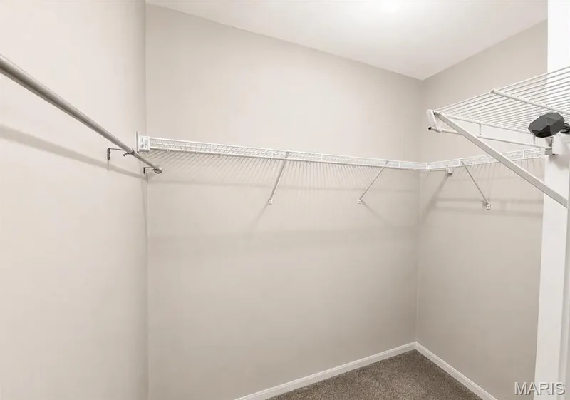 21 White Chapel, O'Fallon, MO 63368 — listing photo 16 of 44