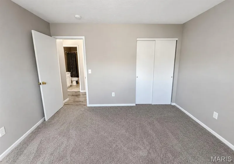 21 White Chapel, O'Fallon, MO 63368 — listing photo 19 of 44