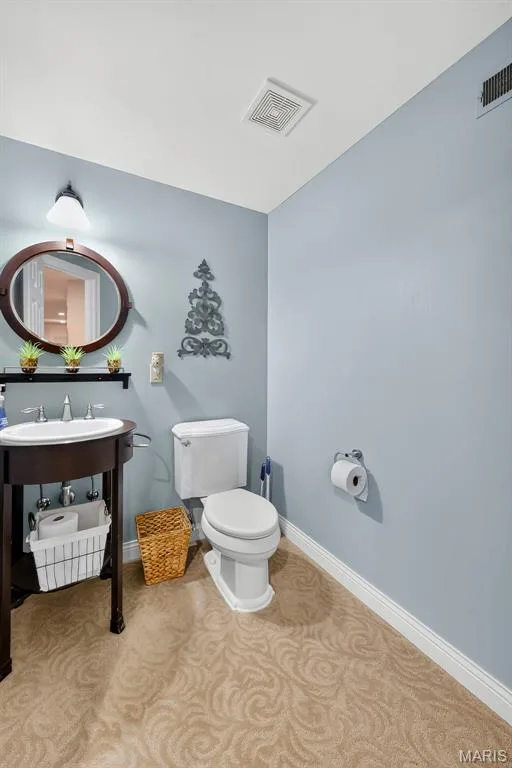 62 Saybridge Manor Parkway, Lake St. Louis, MO 63367 — listing photo 59 of 97