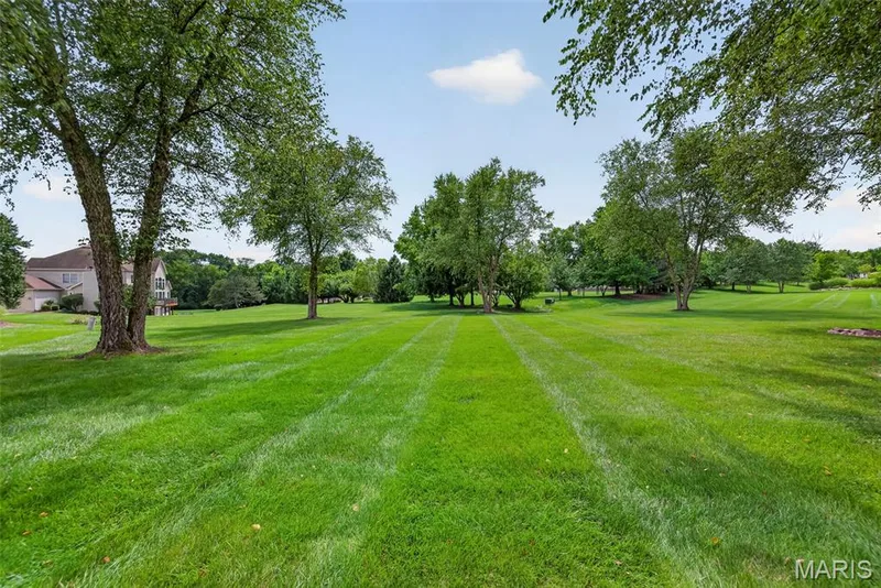 62 Saybridge Manor Parkway, Lake St. Louis, MO 63367 — listing photo 82 of 97