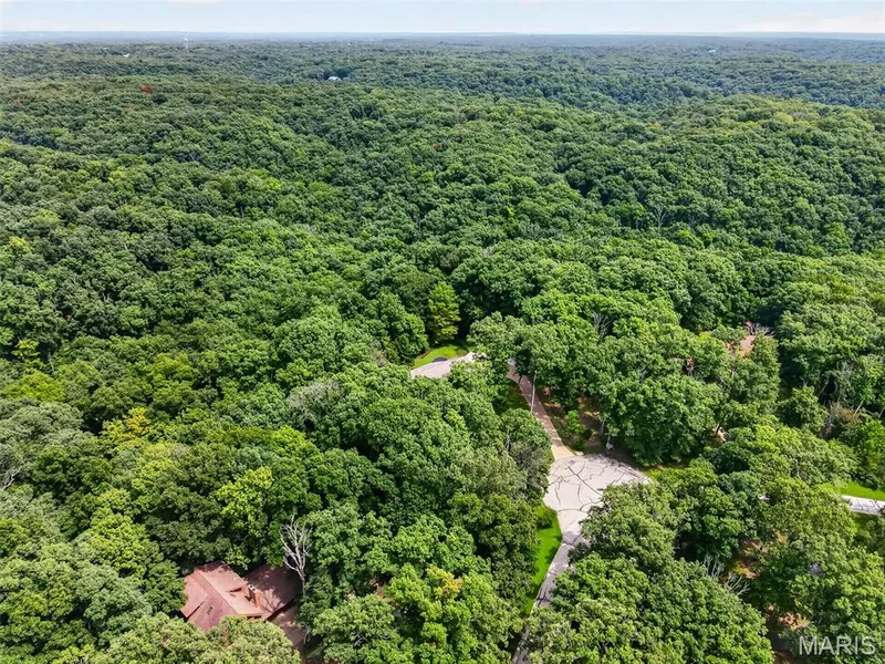 29 Greenview Drive, Defiance, MO 63341 — listing photo 8 of 70