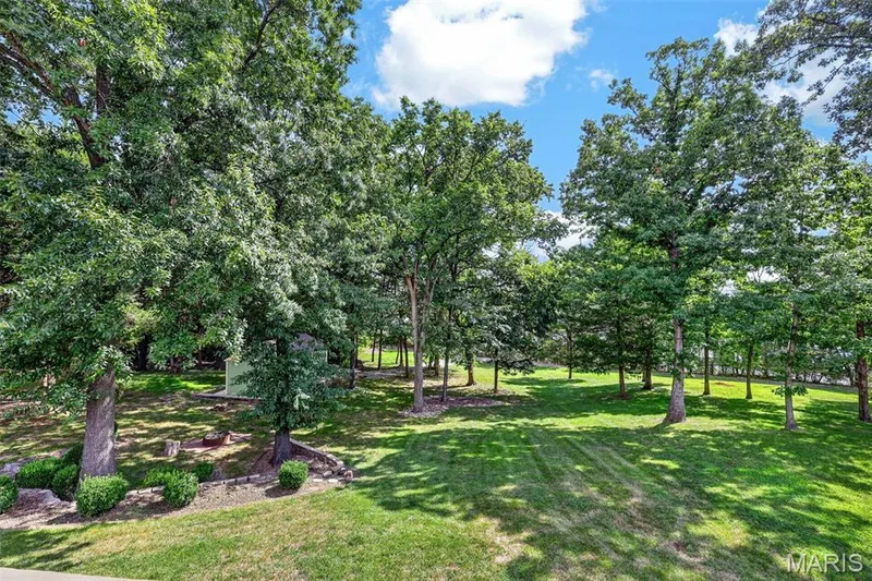 1420 Prospect Lakes Drive, Wentzville, MO 63385 — listing photo 3 of 59