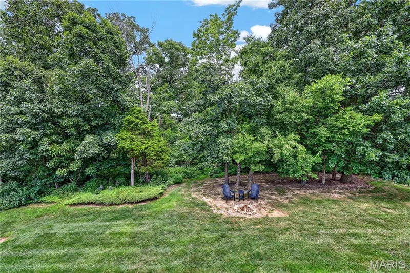 931 Lindmark Drive, Wentzville, MO 63385 — listing photo 47 of 58
