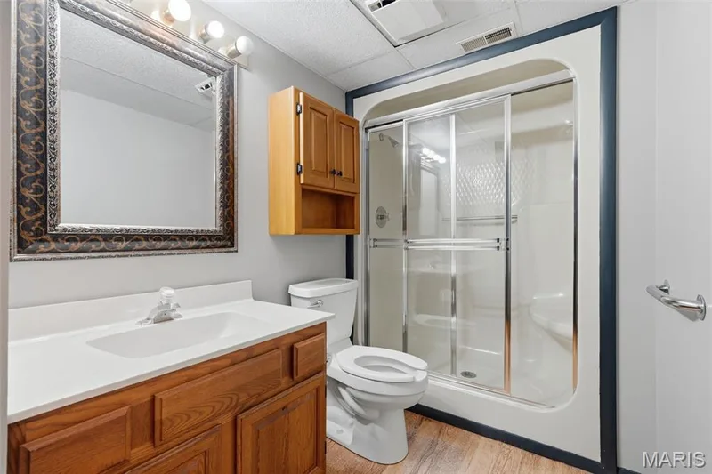 1212 Walnut Hill Farm Drive, Chesterfield, MO 63005 — listing photo 45 of 80