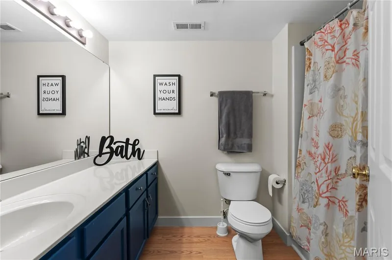 4300 Spring Creek Lane, O'Fallon, MO 63368 — listing photo 10 of 19