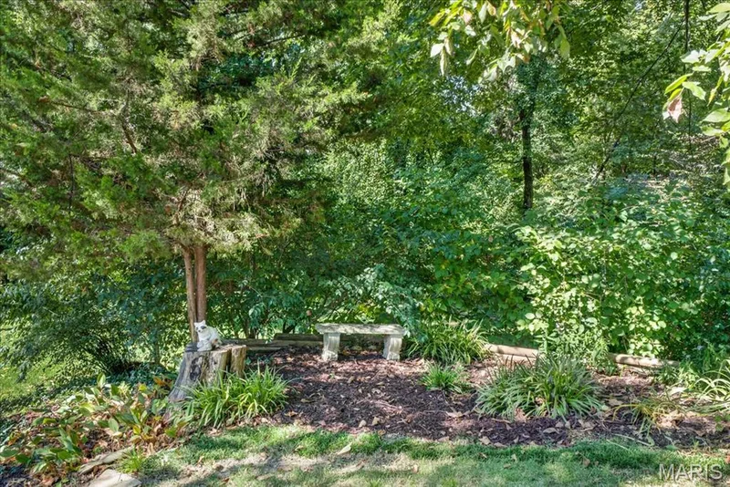 20 Ardennais Road, St Peters, MO 63376 — listing photo 31 of 46