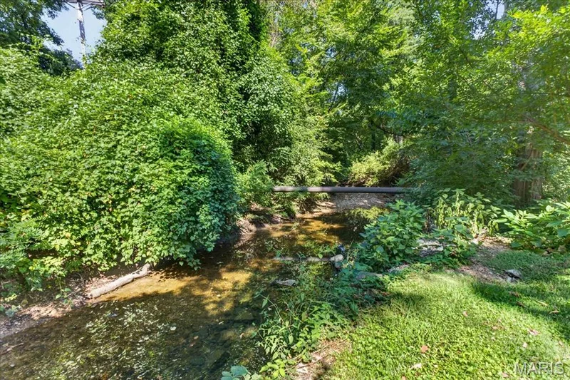 Natural water feature with surrounding mature foliage and varied plant life — 20 Ardennais Road, St Peters, MO 63376