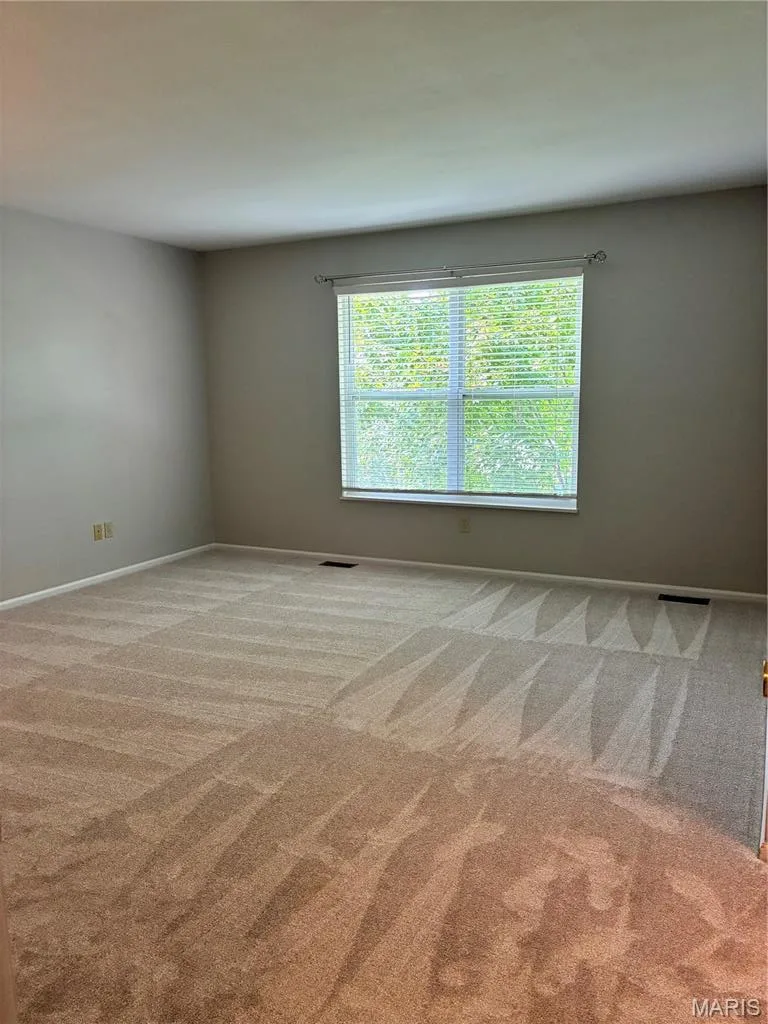 221 Stone Run Boulevard, Wentzville, MO 63385 — listing photo 15 of 29