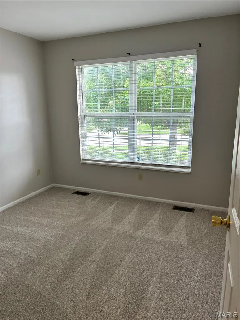 221 Stone Run Boulevard, Wentzville, MO 63385 — listing photo 22 of 29