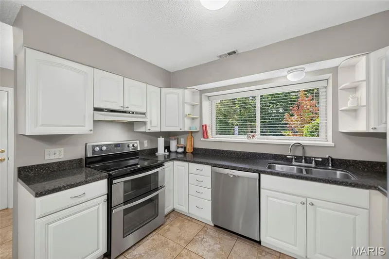 Double oven and double basin sink — 1 Rue De Paix #6, Lake St. Louis, MO 63367