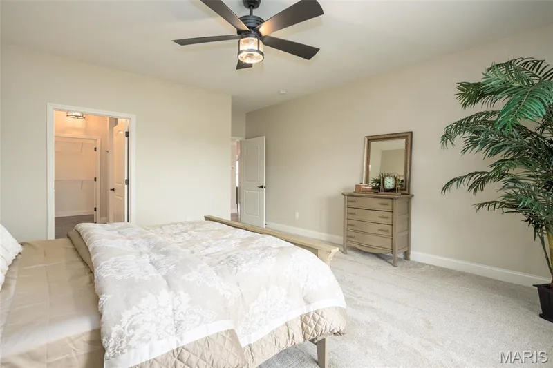 190 Santa Elena Drive, Wentzville, MO 63385 — listing photo 22 of 32