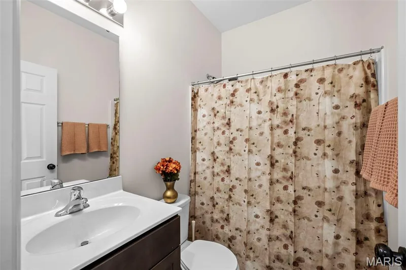 Hall bath — 213 Charlestowne Place Drive, St Charles, MO 63301