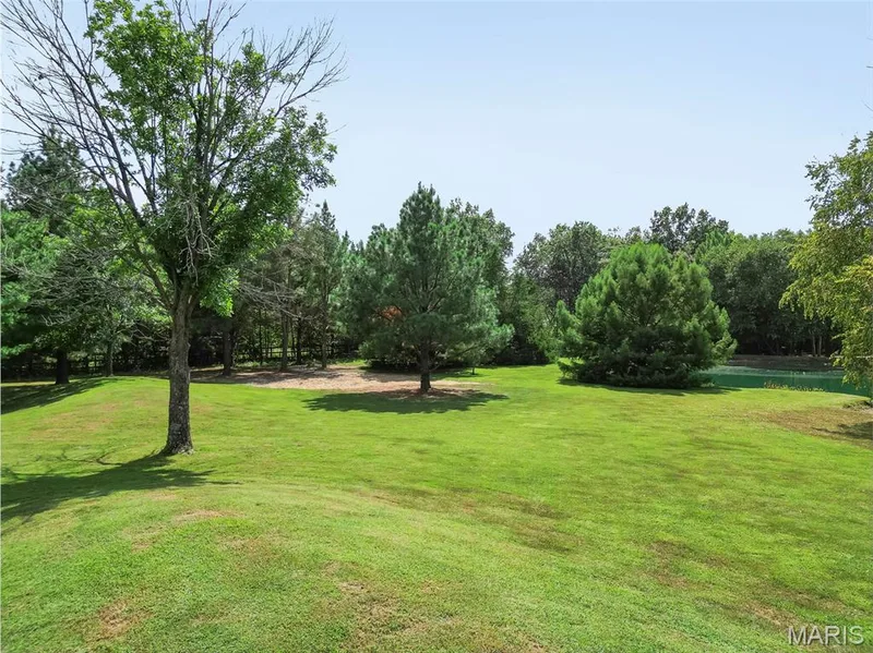 982 Buckner Road, Wentzville, MO 63385 — listing photo 8 of 97