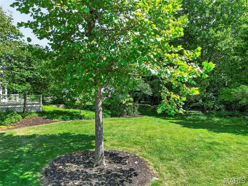 982 Buckner Road, Wentzville, MO 63385 — listing photo 90 of 97