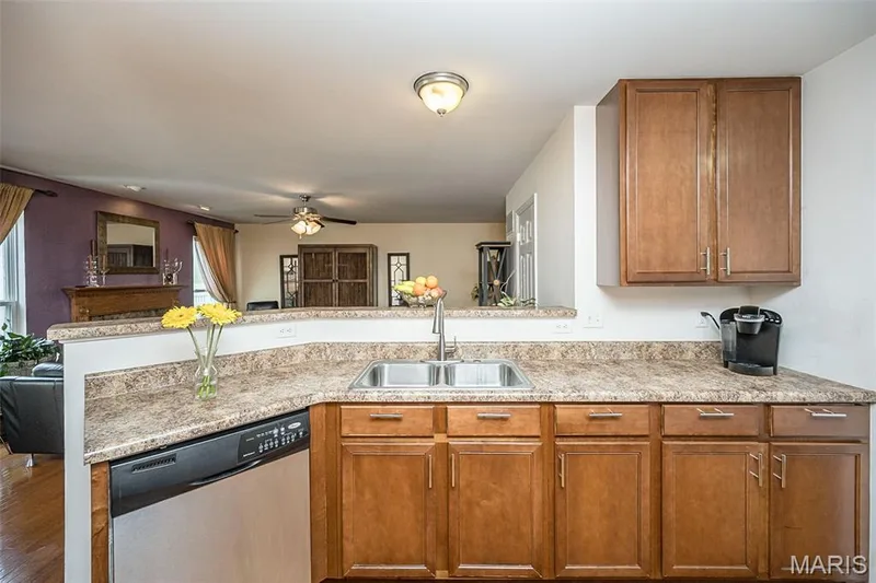 Kitchen with wood-finish cabinetry, stainless steel sink, stainless steel dishwasher, — 500 Flowering Magnolia Drive, O'Fallon, MO 63366
