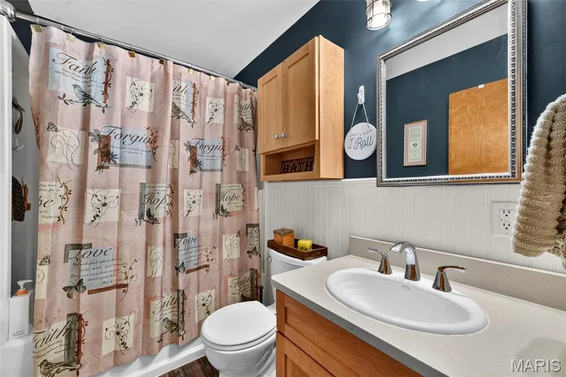 106 Paula Drive, St Charles, MO 63301 — listing photo 19 of 42