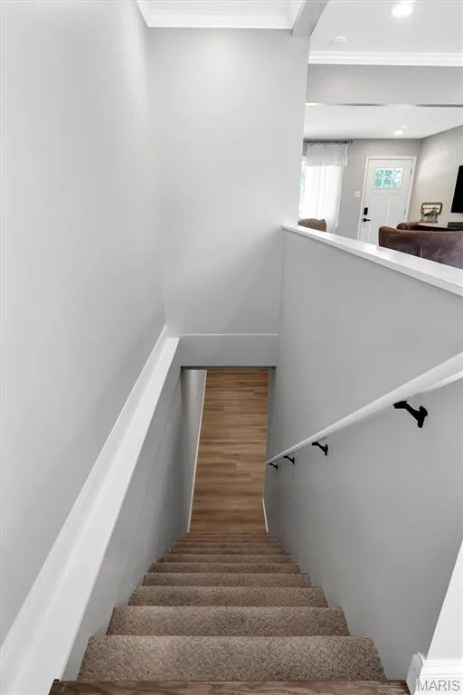 Carpeted staircase with a wood-finish landing, white handrail with black brackets, and crown molding — 7 Saint Mark Drive, St Peters, MO 63376